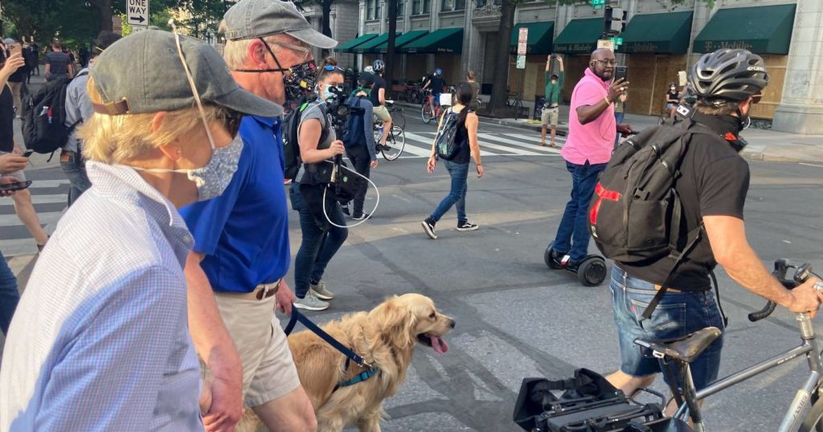 Elizabeth Warren and her very good dog Bailey joined the Washington D.C. protests