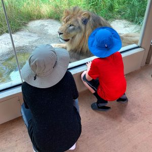 Akron Zoo Engages 3.4 Million Visitors from Around the Country During the Height of the Pandemic