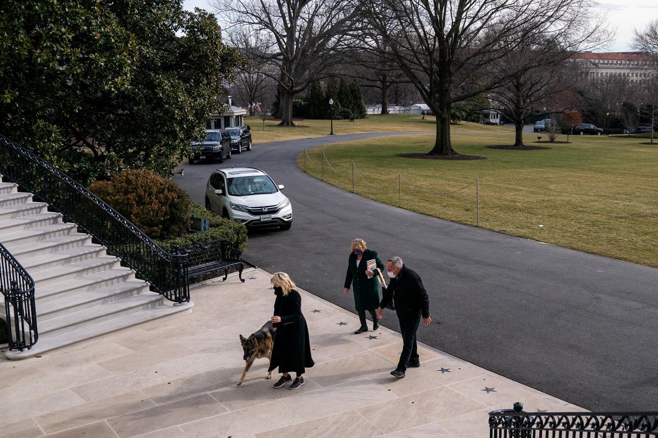 Indoguration Day: Bidens Dogs Champ and Major Move Into the White House
