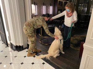 National Guard Troops in Washington Get Paw-Some Surprise From Therapy Dogs