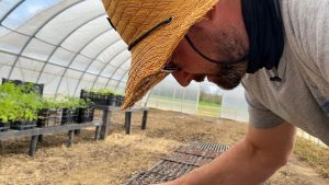 Ohio hemp growers face heavy regulations, risky growing season