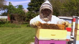 Ever thought about getting a beehive? This beekeeper wants to make it easy