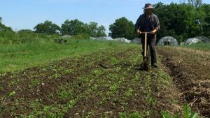 Bahr Farm continues to feed the community after 100 years and 3 generations