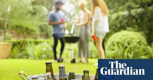 Hoppy days: our pick of the best no- and low-alcohol beers and ales | Fiona Beckett on drink