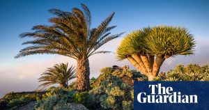 A holiday guide to the Canary Islands