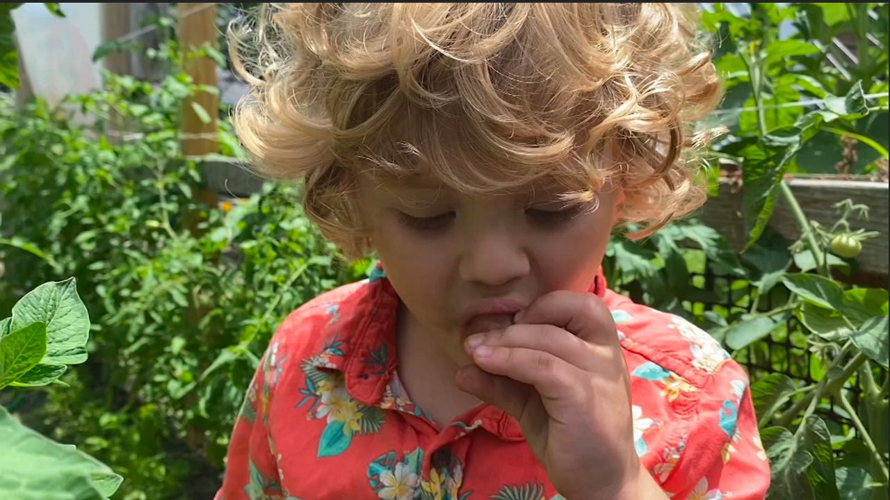 Family garden leads couple to open restaurant