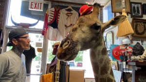 Travelers eager to see something new boost traffic at Loveland oddities store