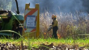 Married couple leads controlled burn project