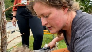 Cincinnati neighborhood plants orchard to improve food access