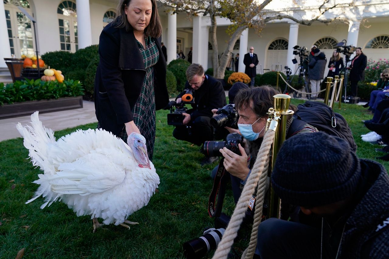 Turkey is infrastructure: Biden pardons presidential Thanksgiving turkeys, Peanut Butter and Jelly