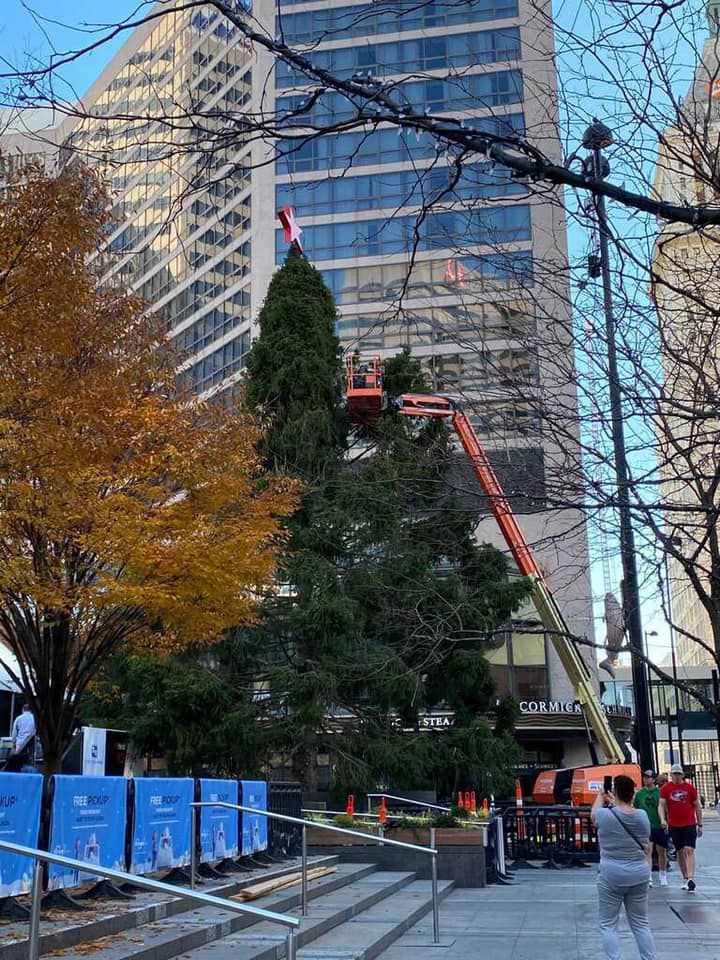 Macys Holiday Tree set to arrive at Fountain Square on Saturday