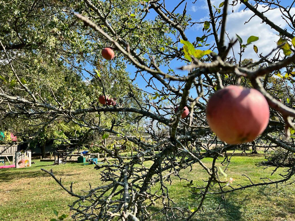 Exploring Ohio: Homemade apple cider