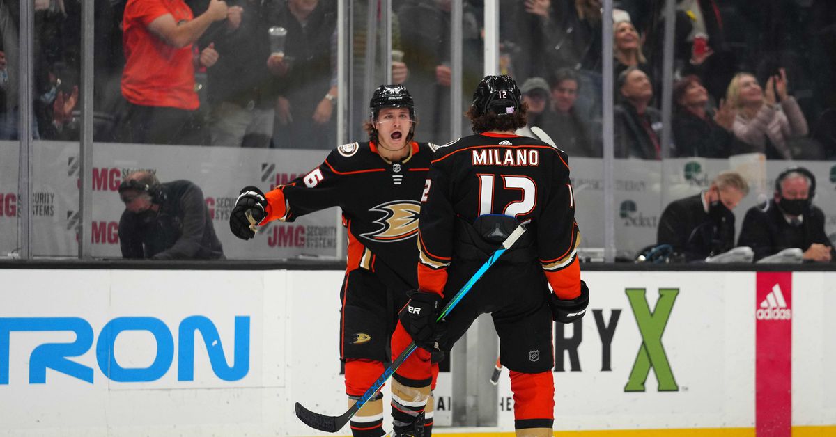 NHL roundup: Ducks top Caps in OT for 8th straight win – Reuters