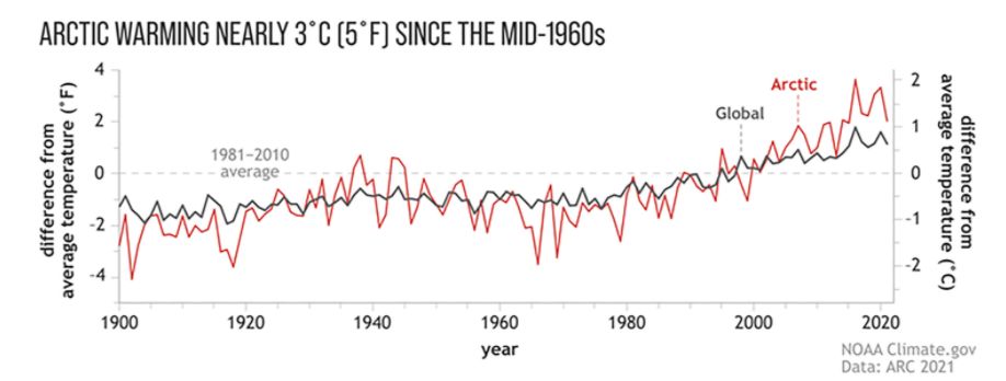 Arctic report shows dramatic changes underway