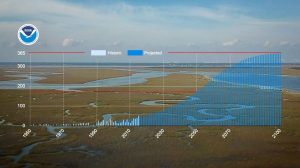 Experts warn new sea level estimates are urgent tool for coastal areas to adapt