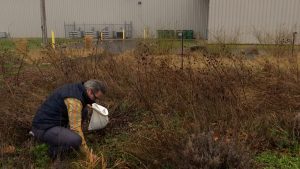 Native plant nursery to help sustain greenhouse at Dayton’s Foodbank