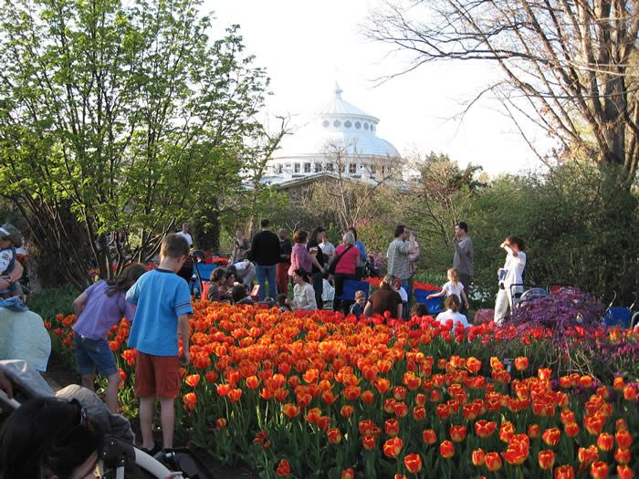 Tunes and Blooms: Cincinnati Zoo and Botanical Gardens free concert series returns this April