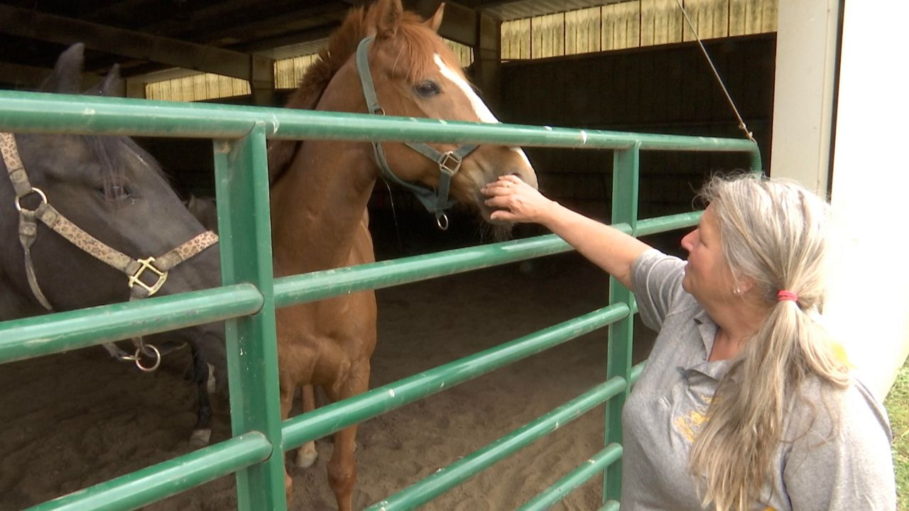 Horseback riding as popular as ever at one northern Kentucky farm