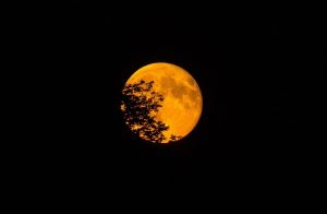 Supermoon and total lunar eclipse light up the sky