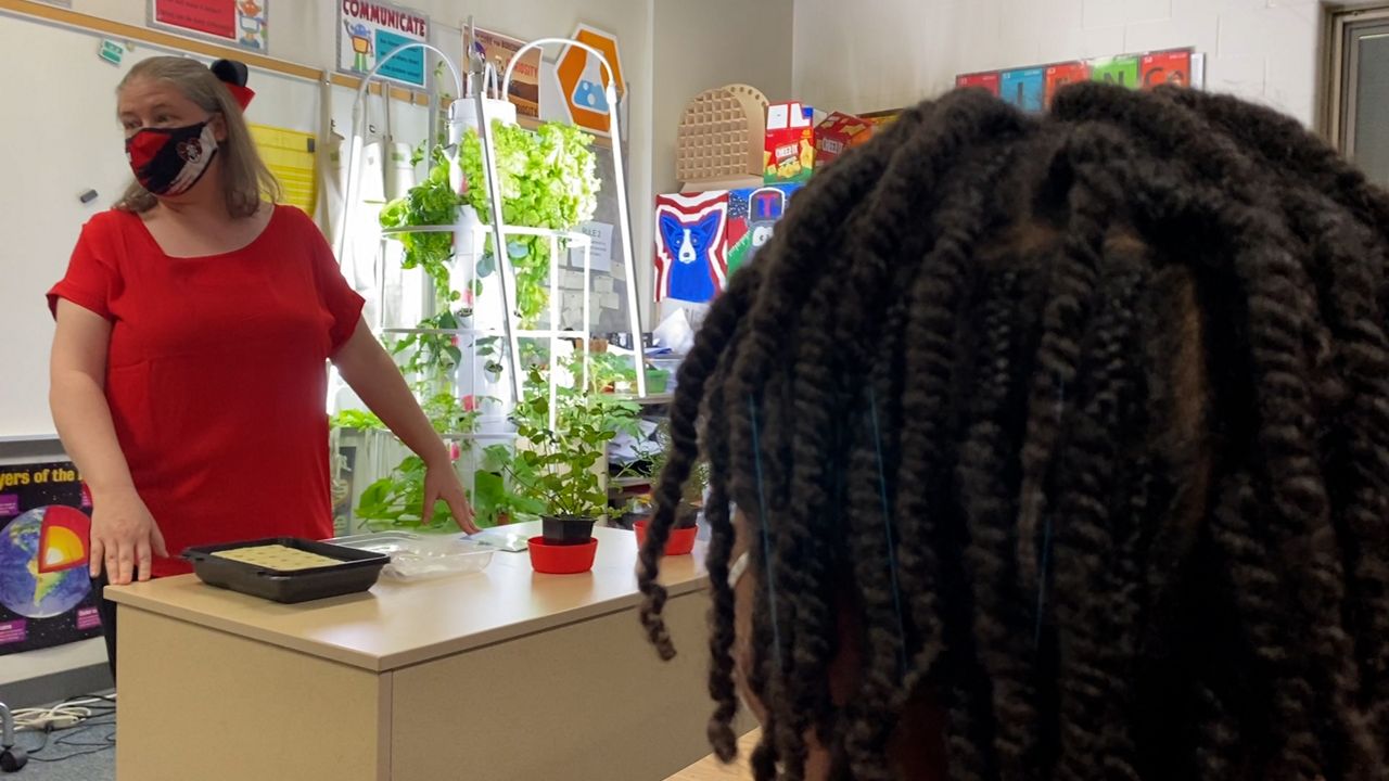 Classroom garden helps Trotwood combat food insecurity