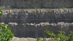 Exploring Ohio: Quarry Trails Metro Park