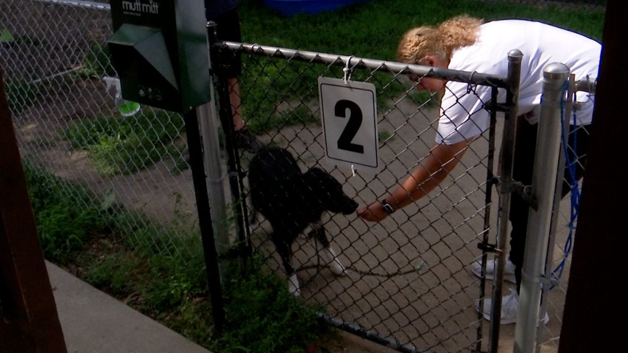 Long-lost siblings meet for the first time in Cleveland