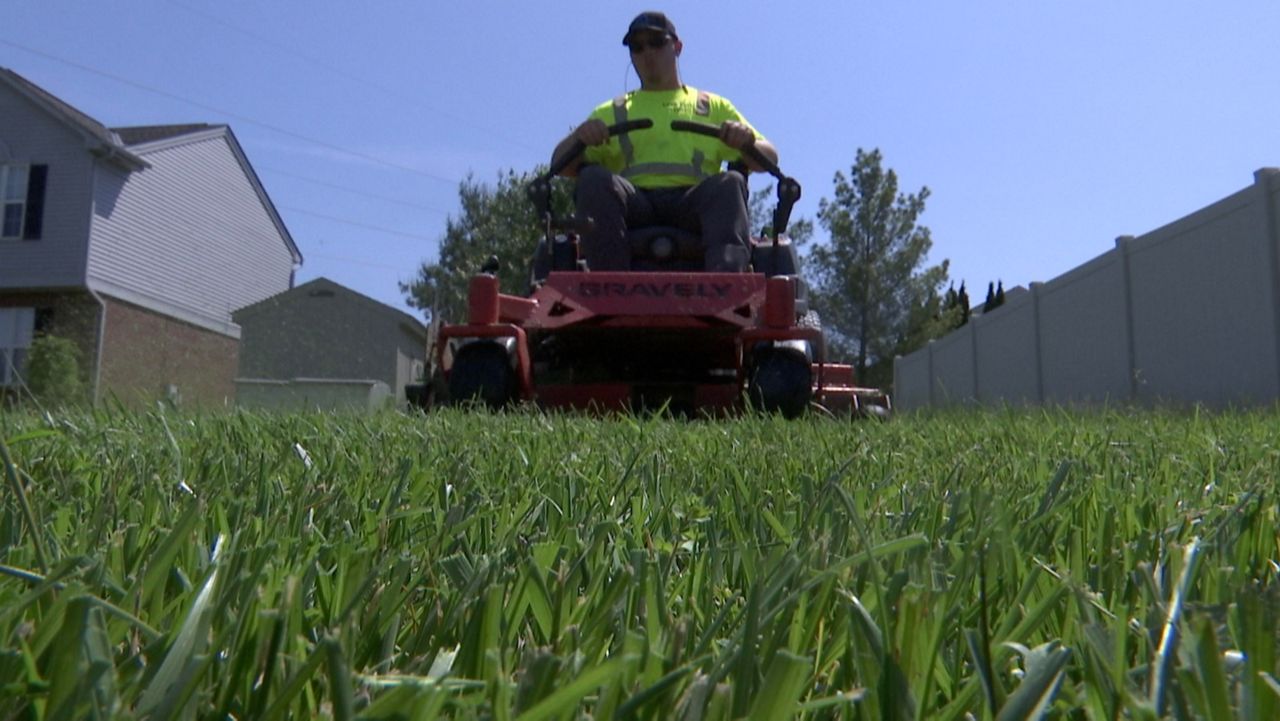 Expensive gas making life harder for professional lawn mowers, and driving up your bill