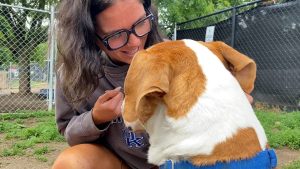 Animal shelters overcrowding partly due to college students moving home