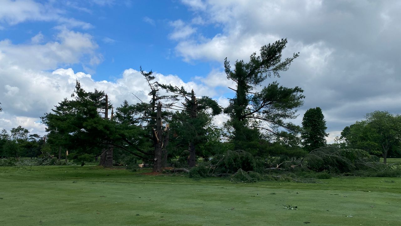 Tornado takes down 90 trees at Springfield Country Club