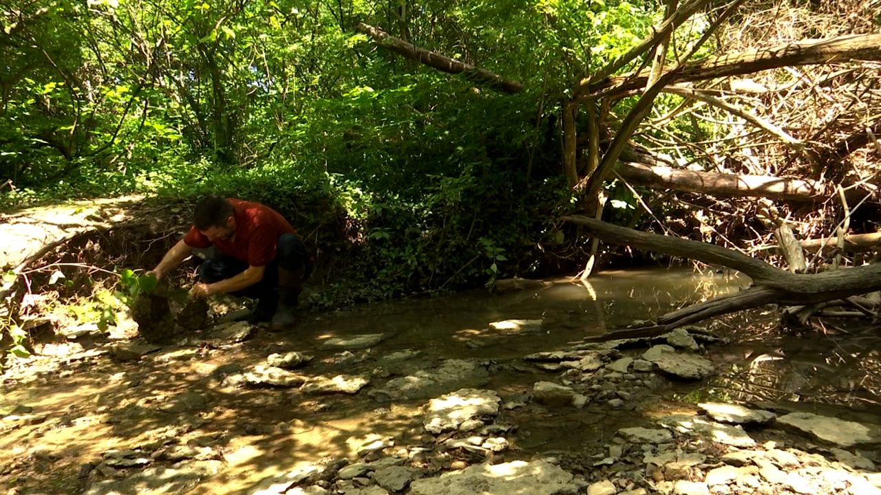 Researchers, conservationists place logs to protect Ohio’s streams