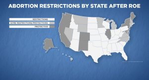 Read more about the article Analysis: Kansas abortion vote could have major repercussions in Novembers midterms