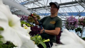 Volunteers prepare for Feast of the Assumption in Clevelands Little Italy