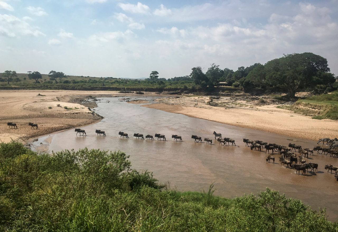 African wildlife parks face climate, infrastructure threats