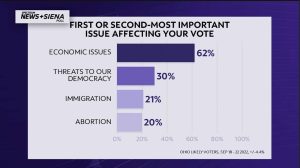 Read more about the article Economy top issue for voters, with abortion second for Democrats, women: Poll