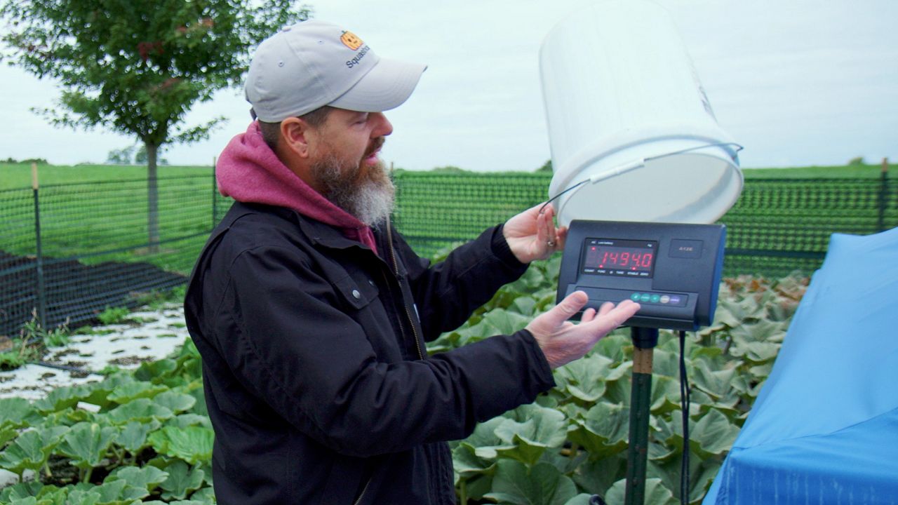 Exploring Ohio: Growing giant pumpkins