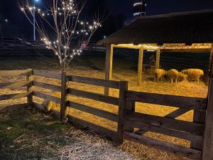 Over last 80 years, Eden Park live Nativity becomes tradition for thousands of greater Cincinnati families