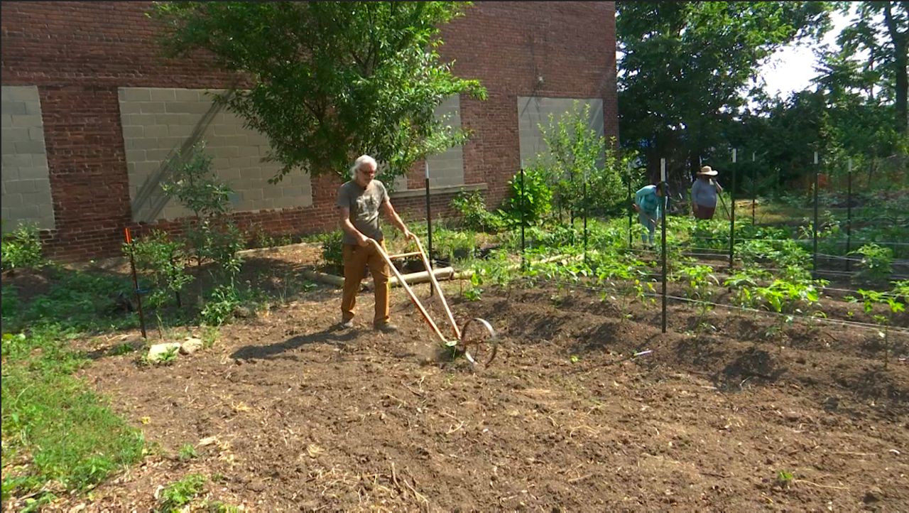 You are currently viewing How new tactics, volunteers can bring a community garden back to life