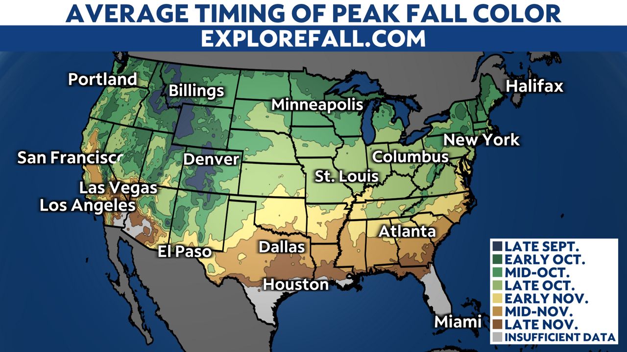 You are currently viewing How weather influences fall foliage